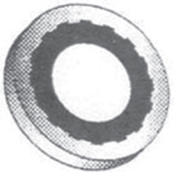 Imagen del producto RETÉN DELCO NEGRO (8.1 X 16.1 X 1.3MM)